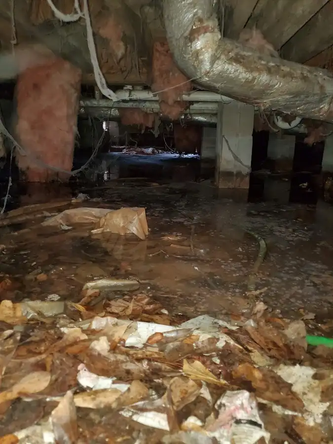 Crawl space flood assessment for Leak Detection & Repair in Harrington Park