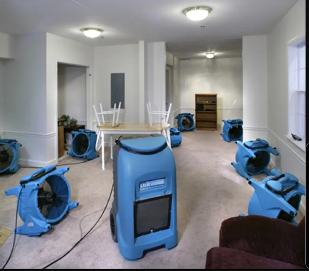 Air movers and dehumidifier setup for Water Extraction & Removal in Harrington Park