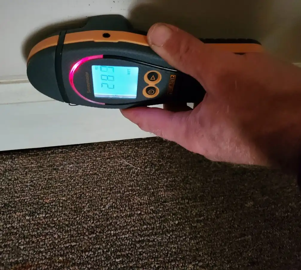 Moisture detection at baseboard during Sewage Cleanup & Sanitation in Harrington Park